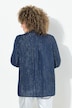 Bluse, Metallic-Streifen, A-Linie, V-Ausschnitt, Langarm