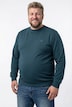 Men+ Sweatshirt, Basic, Rundhalsausschnitt, bis 8 XL
