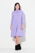 Knit Turtleneck A-Line Dress