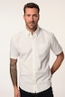 Chemise JP 1880, manches courtes et col à pointes boutonnées, coupe Modern Fit - jusqu'au 8 XL