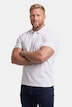 Poloshirt, Basic, Piqué, Halbarm, bis 8 XL