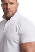 Poloshirt, Basic, Piqué, Halbarm, bis 8 XL