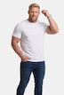 T-Shirt, Basic, Halbarm, Rundhals, bis 8 XL