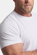 T-Shirt, Basic, Halbarm, Rundhals, bis 8 XL