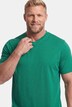 T-shirt, basic, halve mouw, V-hals, t/m 8 XL