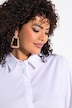 Overhemdblouse, achterplooi, A-lijn, overhemdkraag, 3/4-mouwen