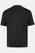 Men+ T-shirt, basic, set van 2, halve mouwen, ronde hals, tot 8XL