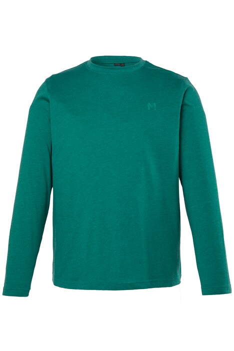 Tričko, dlouhé rukávy, Basic, kulatý výstřih, do 8XL