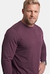 Langarmshirt, Basic, Rundhals, bis 8 XL