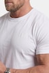 T-Shirt, Bauchfit, Basic, Halbarm, bis 10 XL