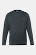 Langarmshirt, Bauchfit, Spezialschnitt, Basic, Rundhals, bis 10 XL