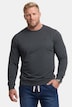 Langarmshirt, Bauchfit, Spezialschnitt, Basic, Rundhals, bis 10 XL