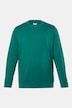 Langarmshirt, Bauchfit, Spezialschnitt, Basic, Rundhals, bis 10 XL