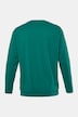 Langarmshirt, Bauchfit, Spezialschnitt, Basic, Rundhals, bis 10 XL