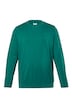 Tričko, dlouhé rukávy, břišní střih, Basic, kulatý výstřih, do 8XL