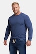 Langarmshirt, Bauchfit, Spezialschnitt, Basic, Rundhals, bis 10 XL