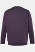 Langarmshirt, Bauchfit, Spezialschnitt, Basic, Rundhals, bis 10 XL