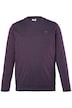 Tričko, dlouhé rukávy, břišní střih, Basic, kulatý výstřih, do 8XL