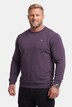 Langarmshirt, Bauchfit, Spezialschnitt, Basic, Rundhals, bis 10 XL