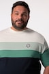 Men+ T-shirt, korte mouwen, Buikfit, streepjes, tot 8 XL