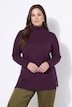 Pullover, A-Linie, Rollkragen