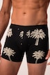 JP1880 mid pants FLEXNAMIC®, OEKO-TEX, 2-pack, underpants, up to 8 XL