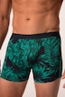 JP1880 mid pants FLEXNAMIC®, OEKO-TEX, 2-pack, underpants, up to 8 XL