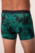 JP1880 mid pants FLEXNAMIC®, OEKO-TEX, 2-pack, underpants, up to 8 XL
