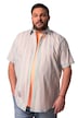 Pruhovaná košile Men+, krátké rukávy, Kent límeček, Comfort střih, do 8XL