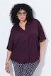 Blouse, structuur, overhemdkraag, korte mouw