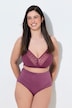 TruYou Maxislips, 2er-Pack, HighWaist, Spitzen-Rückseite
