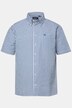 Men+ Karohemd, Halbarm, Seersucker, Buttondown-Kragen, Comfort Fit, bis 8 XL
