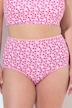 Maxi-slips, set van 5, hoge taille, patroon/effen, OEKO-TEX