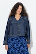 Cropped Lapel Collar Denim Jacket