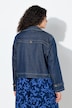 Cropped Lapel Collar Denim Jacket