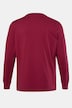 Schlafanzug, Zweiteiler, Jersey, Langarm, bis 8 XL