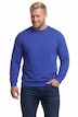 Sweatshirt, Bruststick, bis 8 XL