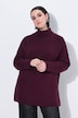 Pullover, Rippstrick, Rollkragen, Raglan-Langarm