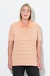 Striped half-sleeve classic fit piqué polo shirt