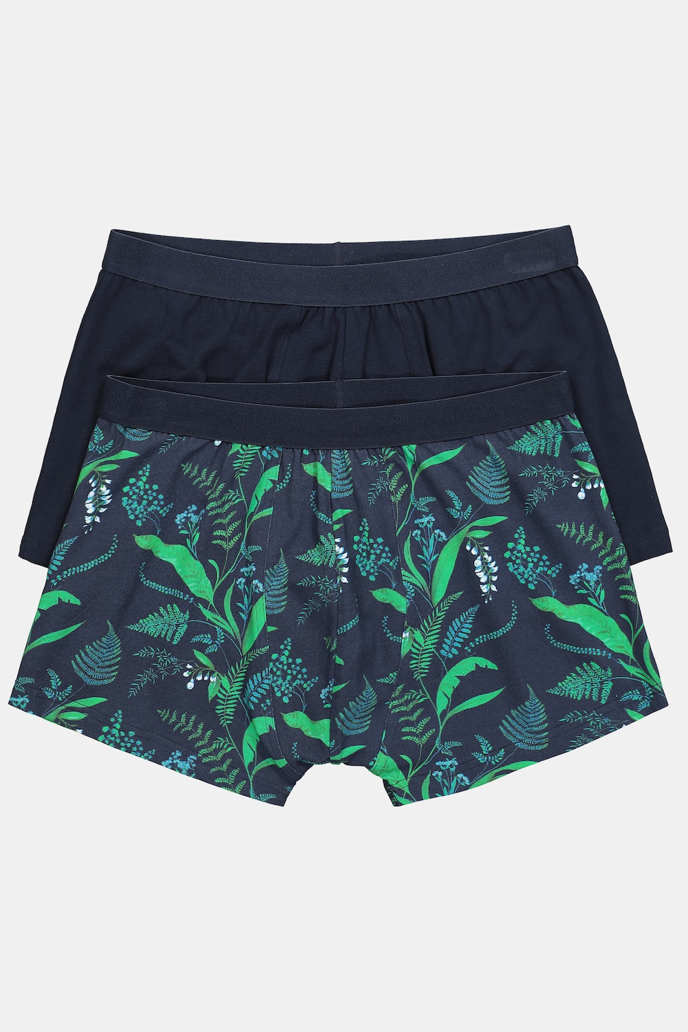 JP1880 heupbroekje FLEXNAMIC®, loungewear, OEKO-TEX, set van 2, onderbroek, tot 8XL