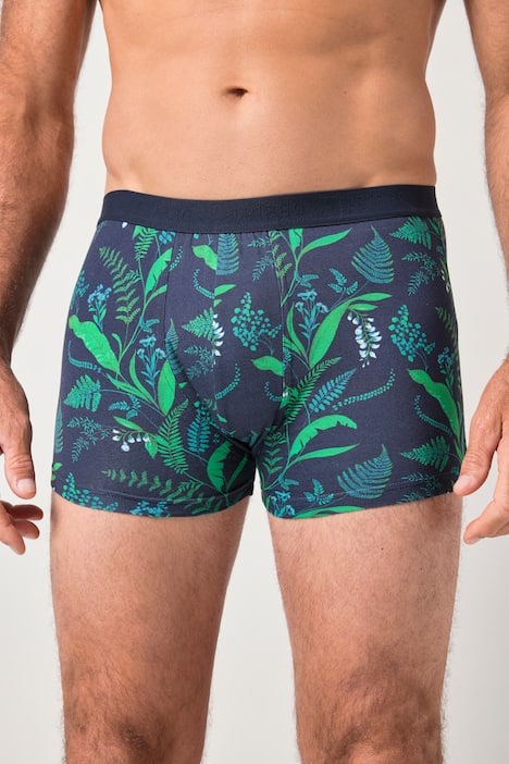 JP1880 heupbroekje FLEXNAMIC®, loungewear, OEKO-TEX, set van 2, onderbroek, tot 8XL