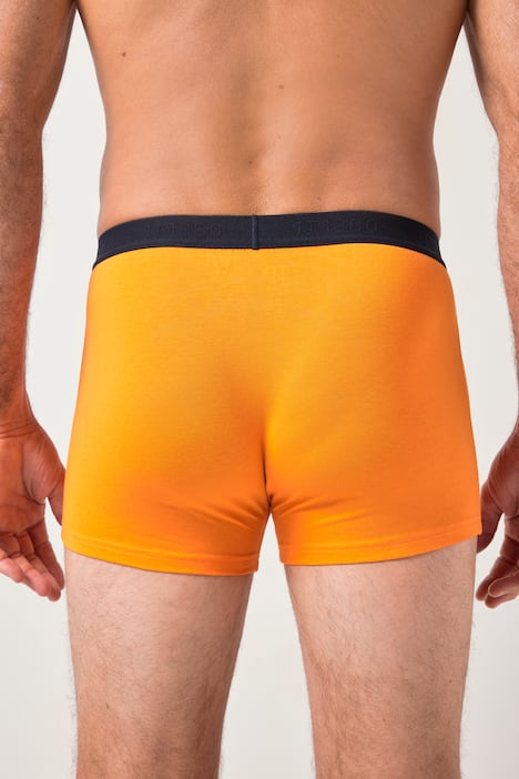 JP1880 Hip-Pants FLEXNAMIC®, Homewear, OEKO-TEX, 3er-Pack, Unterhose, bis 8XL