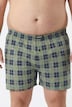 Men+ Boxershorts, OEKO-TEX, 2er-Pack, Unterhose, bis 8XL