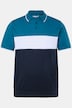 Men+ poloshirt, Buik-Fit, colorblocking, korte mouwen, tot 8XL