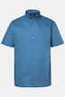 Boston Park overhemd, korte mouwen, buttondown-kraag, minimalistisch motief, Comfort Fit, tot 8XL