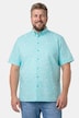 Boston Park Hemd, Halbarm, Buttondown-Kragen, Minimalmuster, Comfort Fit, bis 8 XL