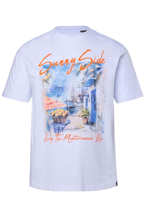 Pánské tričko, potisk, krátké rukávy, do velikosti 8XL