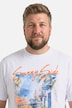 Men+ T-Shirt, Print, Halbarm, bis 8 XL