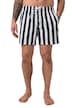 pánské plážové šortky FLEXNAMIC®, pruhy, elastický pas, součástí voděodolný sáček, do 8 XL