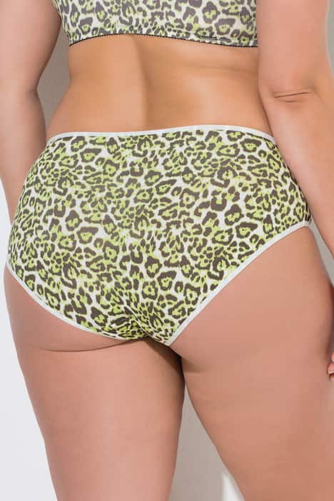 6 Pack of Panties- Colorful Leopard